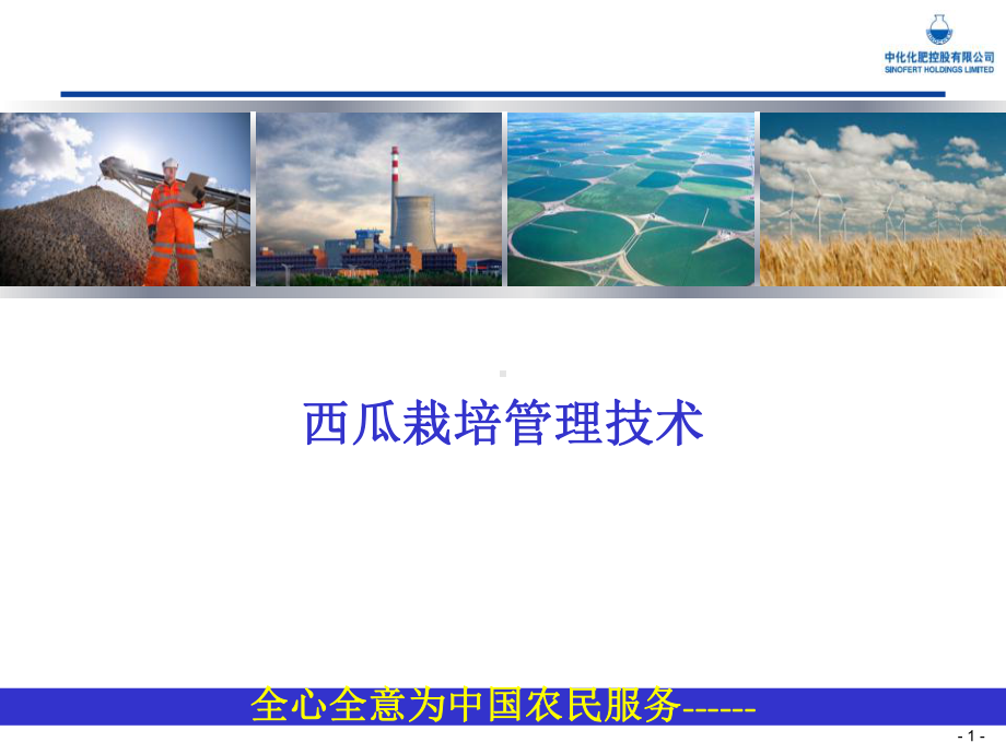 西瓜栽培管理技术-PPT课件.ppt_第1页