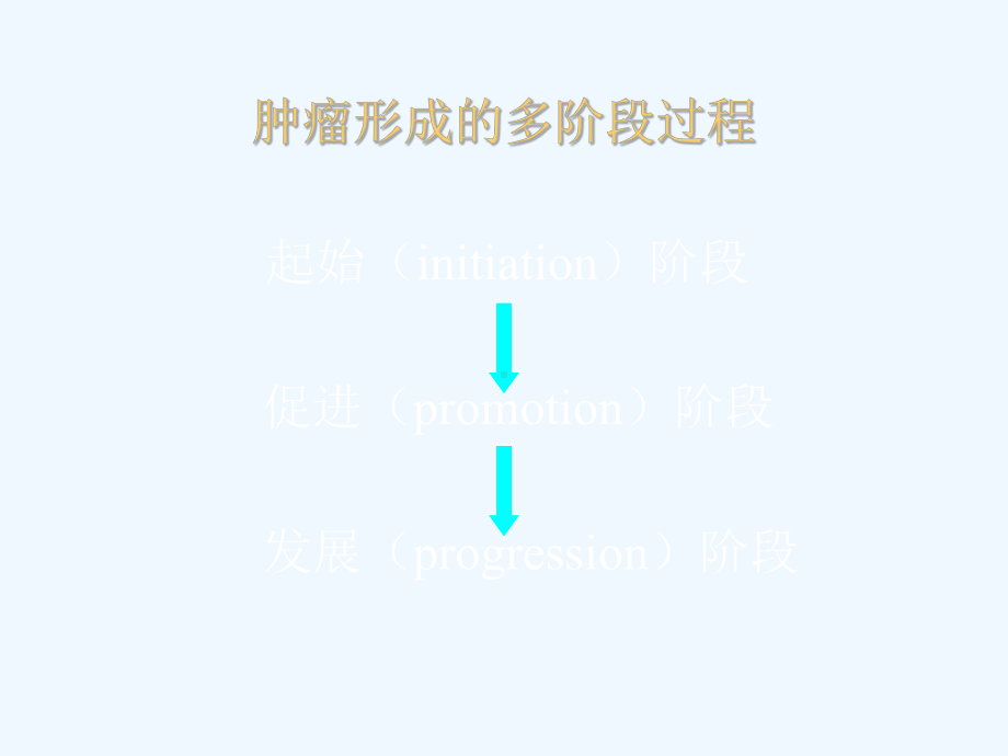 营养与肿瘤课件.ppt_第3页