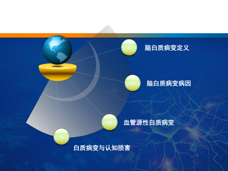 脑白质病变PPT课件.ppt_第2页