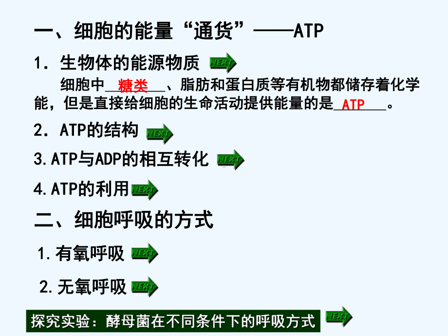 讲-细胞的能量“通货”ATP、及ATP的主要来源-细胞呼吸课件.ppt_第2页