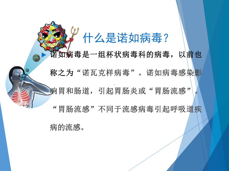 诺如病毒防治知识PPT课件.ppt_第2页