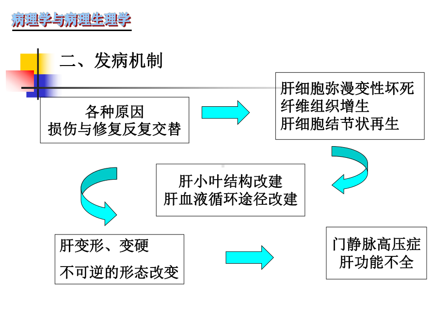 肝硬化PPT课件.ppt_第3页