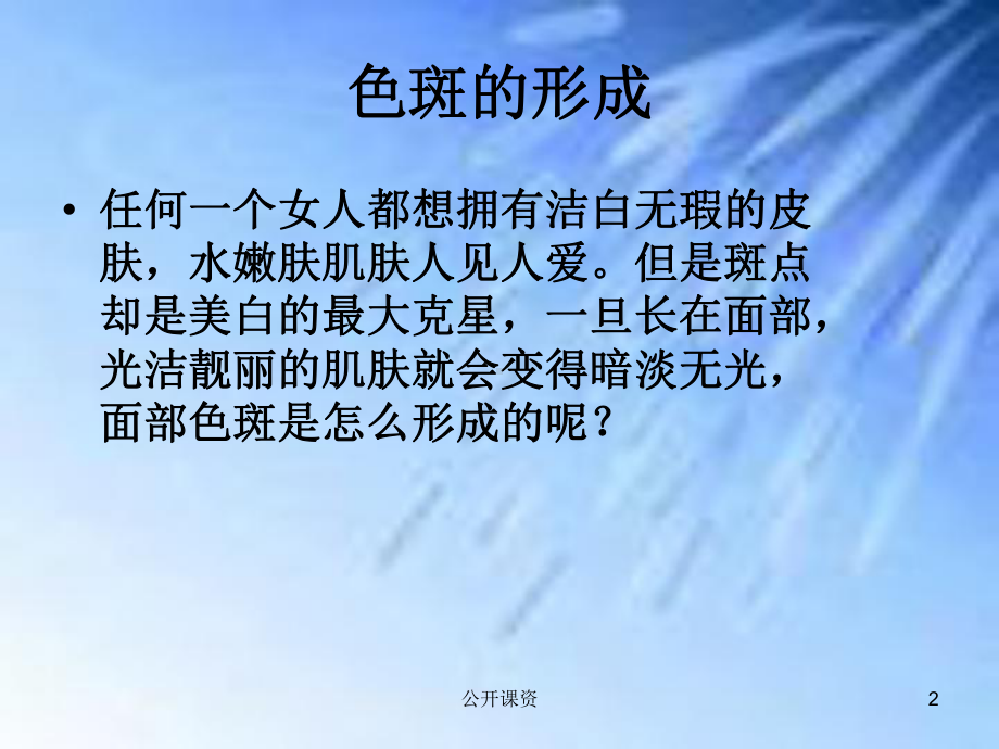 色斑课件(学习课资).ppt_第2页