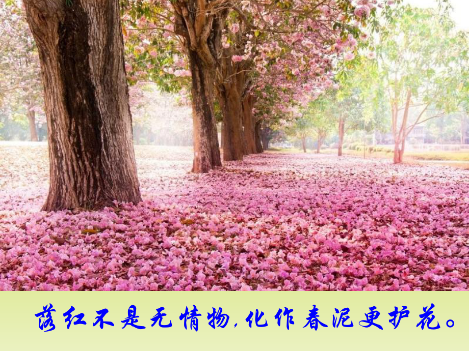 诗歌鉴赏之景物描写分析课件.ppt_第3页