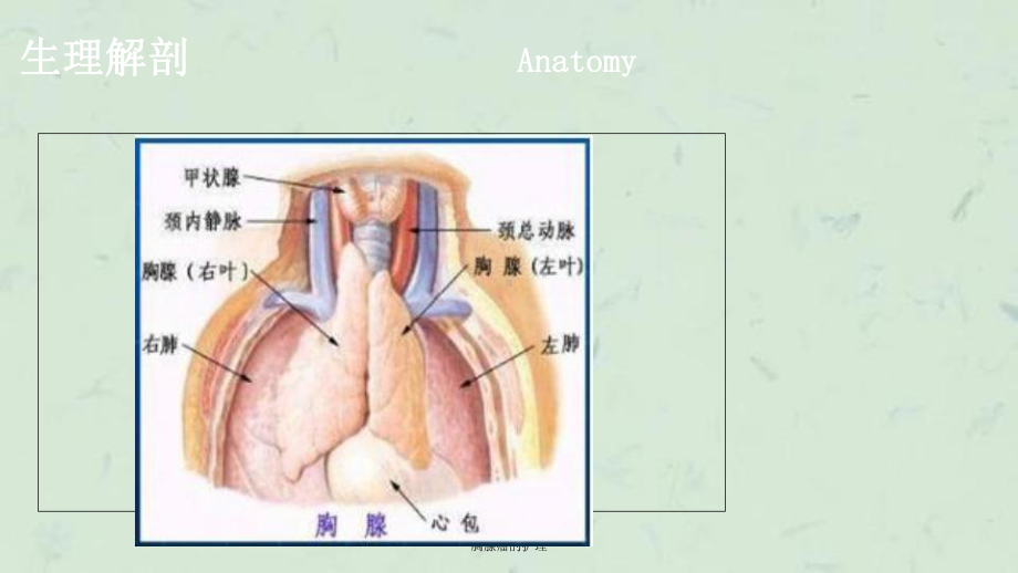 胸腺瘤的护理课件.ppt_第3页