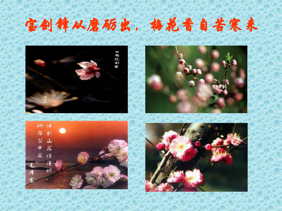 诗歌中的梅花赏析ppt课件.ppt_第1页