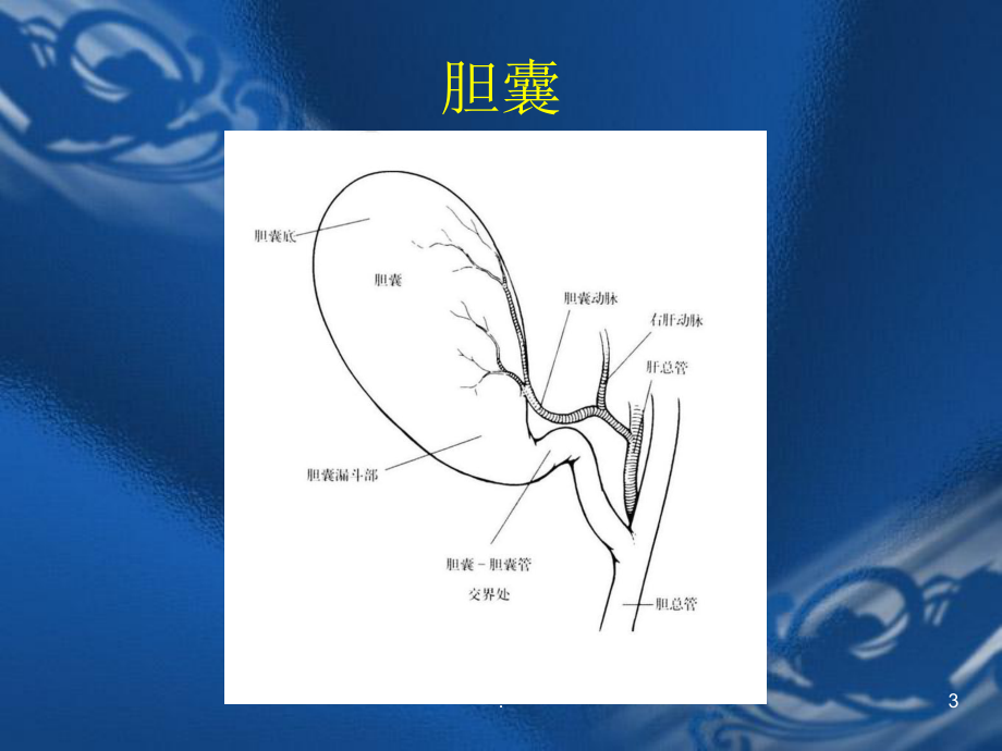 腹腔镜下胆囊切除术的护理ppt演示课件.pptx_第3页