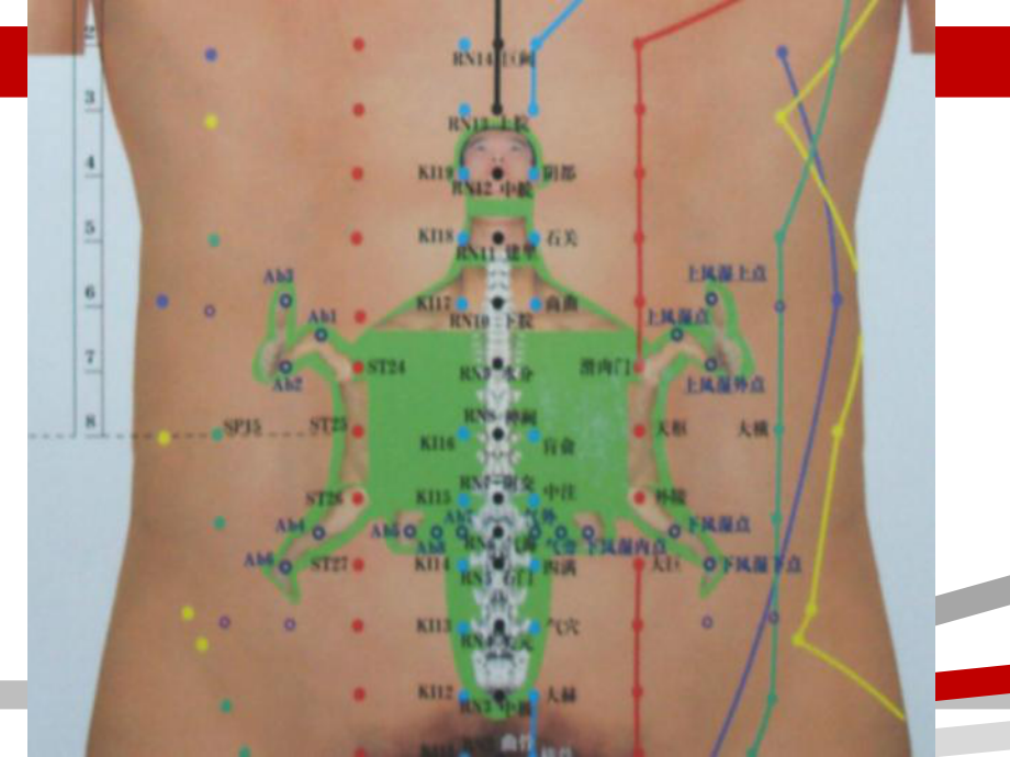 腹针疗法学习腹针课件.ppt_第3页