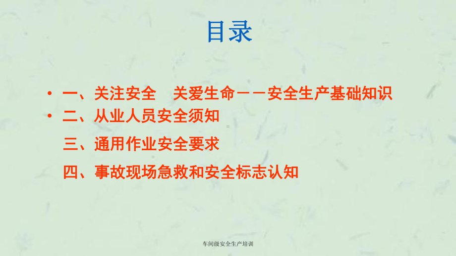 车间级安全生产培训课件.ppt_第2页