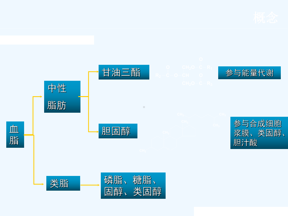 降脂药的分类及他汀类药物新进展课件.ppt_第3页