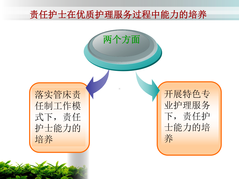 责任护士在优质护理服务过程中能...课件.ppt_第2页