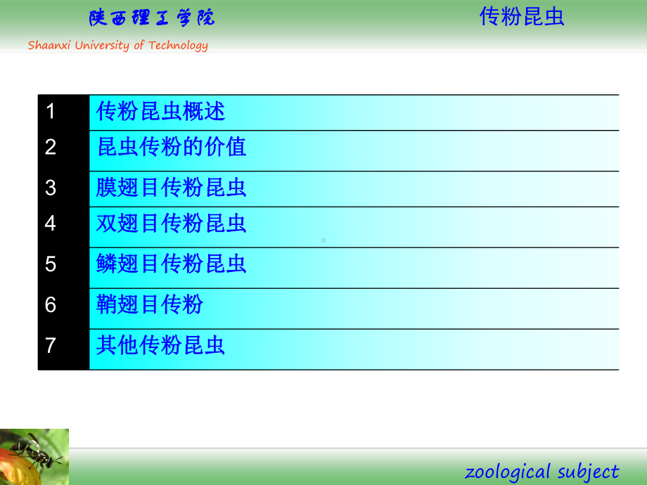 资源昆虫学-传粉昆虫方案课件.ppt_第1页