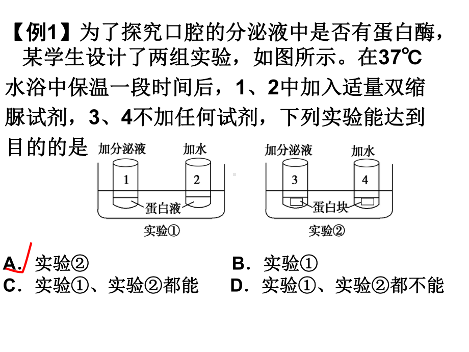 酶的相关实验课件.ppt_第1页