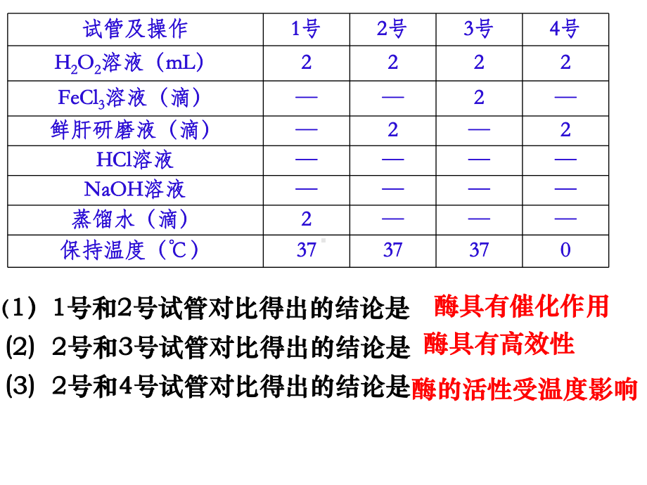 酶的相关实验课件.ppt_第2页