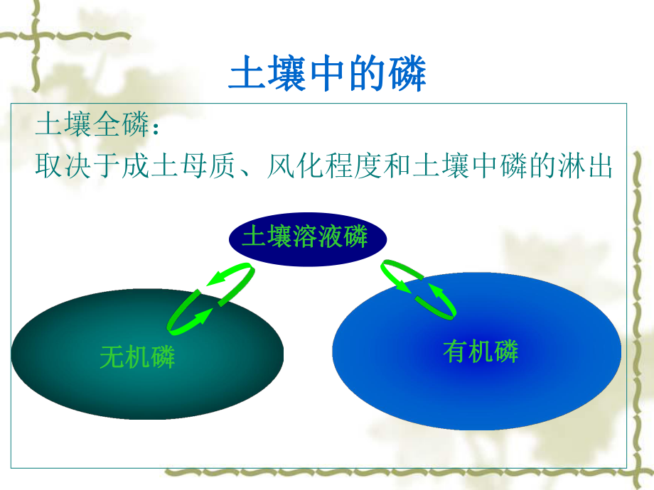 钾素肥料.课件.ppt_第2页