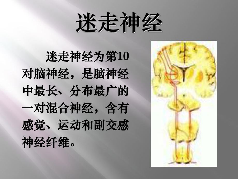 迷走神经反射的护理课件.ppt_第2页