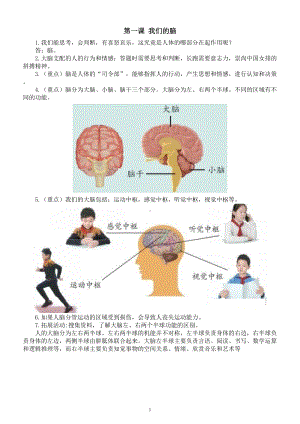 小学科学青岛版六三制五年级下册第一单元第1课《我们的脑》知识点整理.doc