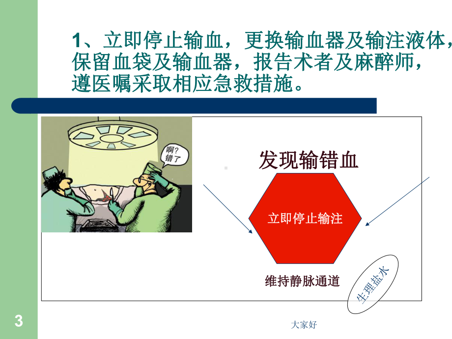 输错血的应急预案-PPT课件.ppt_第3页