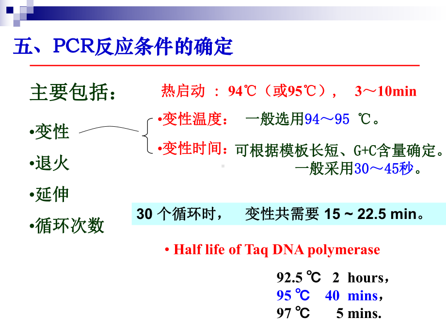 退火温度对PCR反应的影响课件.ppt_第2页