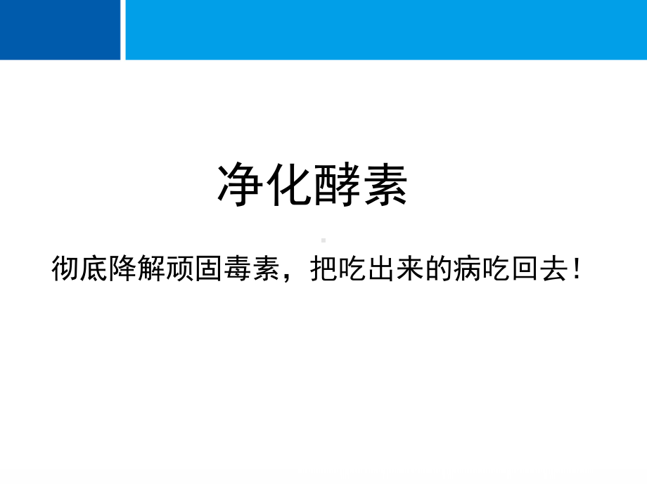 酵素课件ppt.ppt_第1页