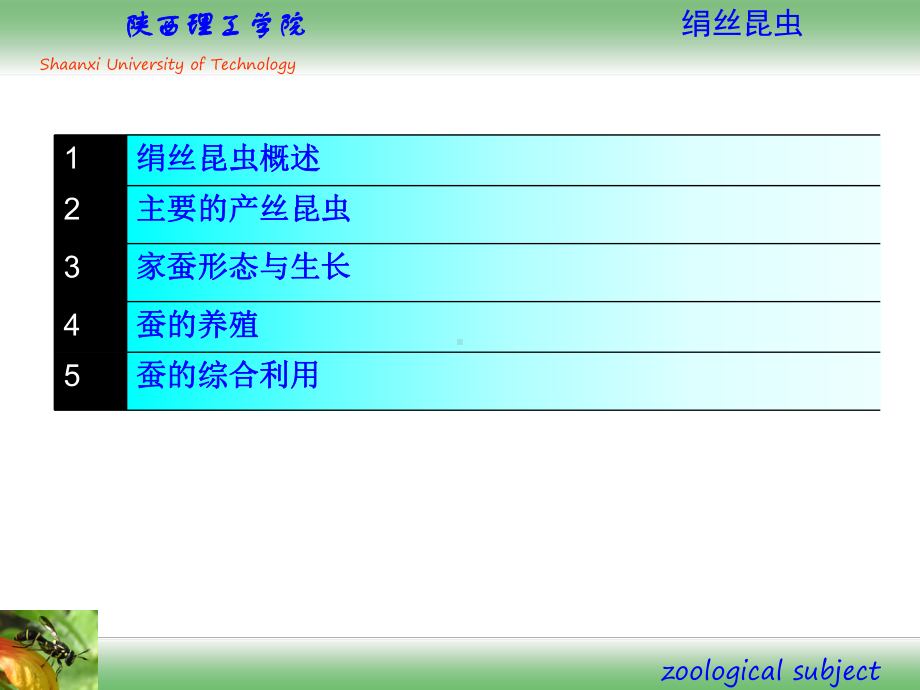 资源昆虫学-绢丝昆虫选编课件.ppt_第1页