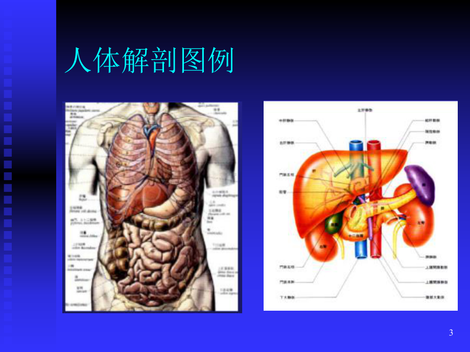 超声常用标准切面PPT幻灯片课件.ppt_第3页