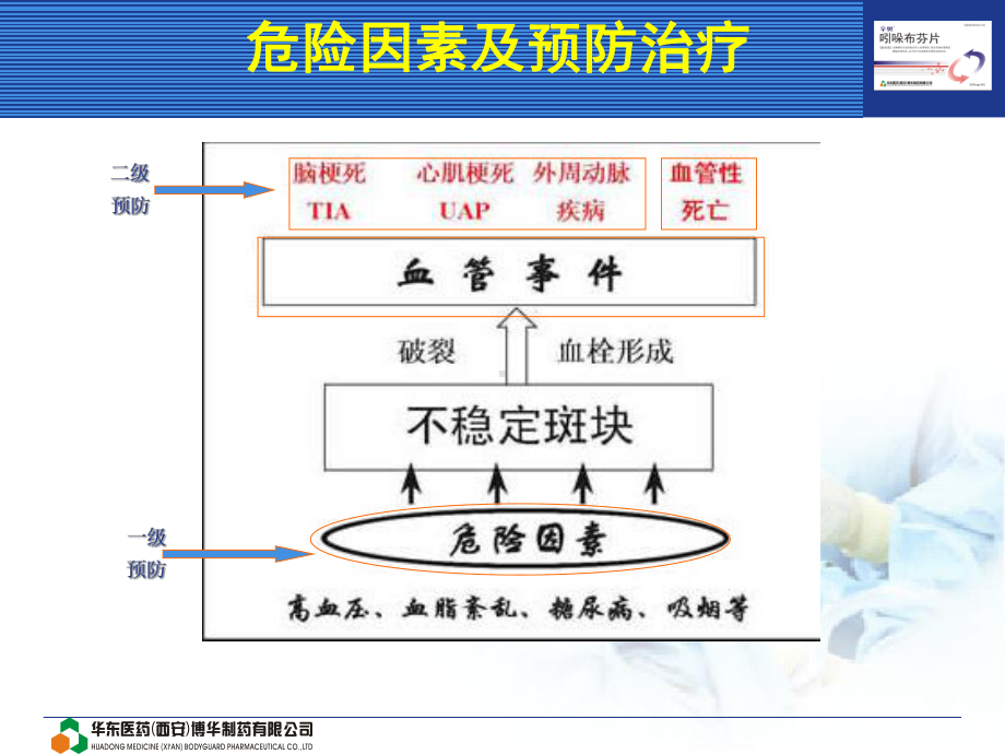 辛贝吲哚布芬产品介绍课件.ppt_第2页