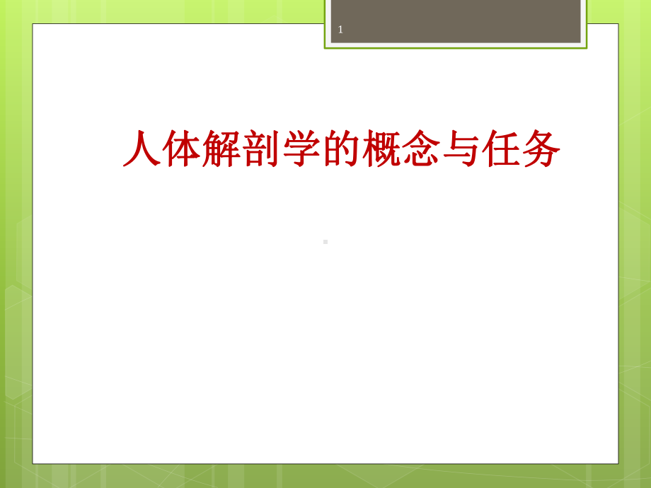 运动系统解剖课件.ppt_第1页