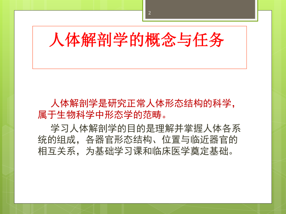 运动系统解剖课件.ppt_第2页