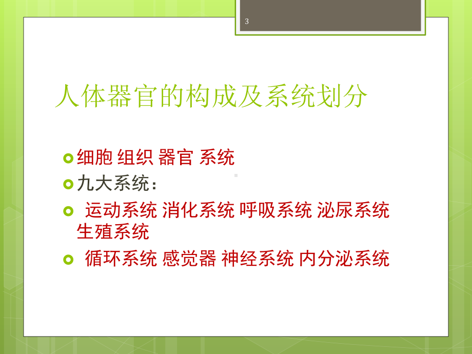 运动系统解剖课件.ppt_第3页