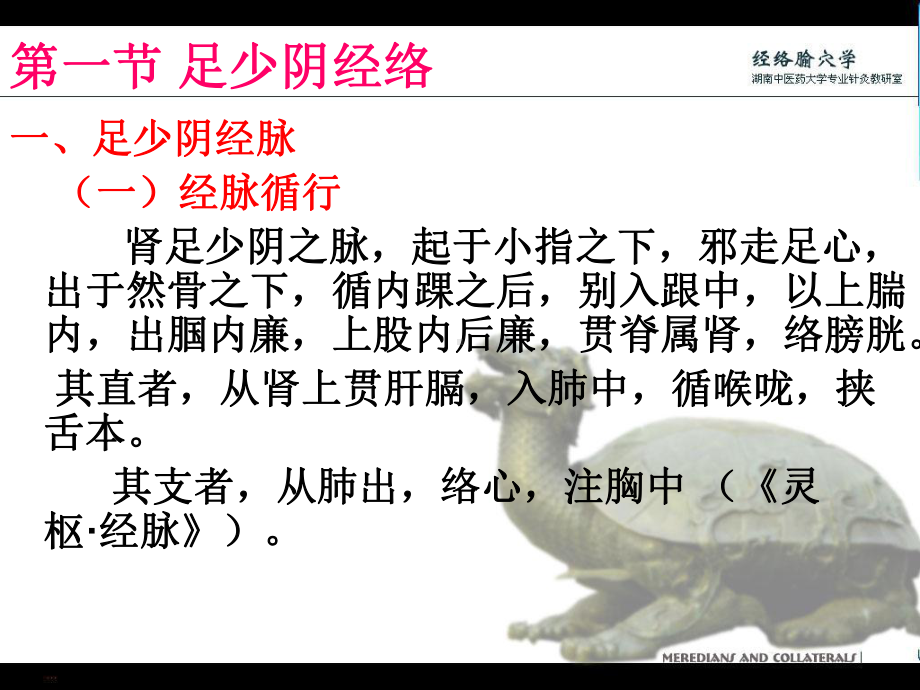 足少阴经络与腧穴详解课件.ppt_第2页