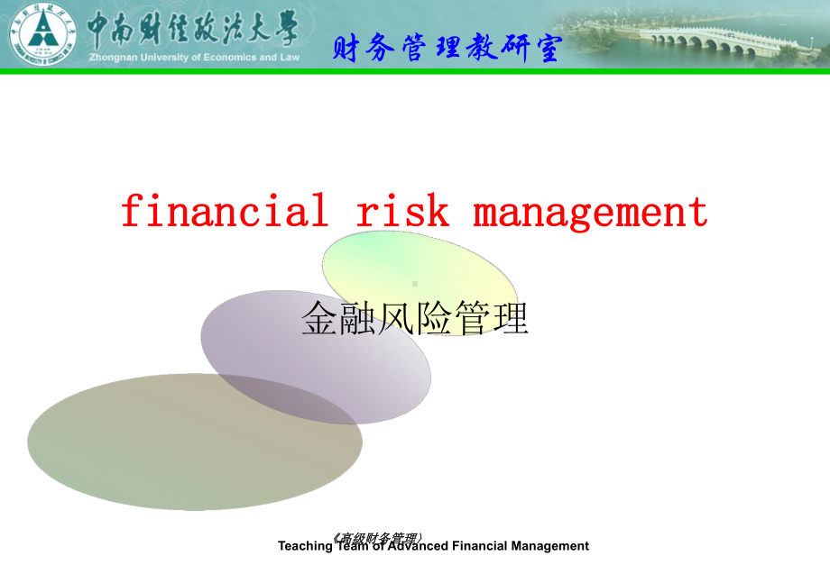 金融风险管理(financial-risk-management)课件.ppt_第1页