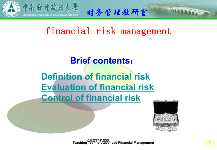 金融风险管理(financial-risk-management)课件.ppt_第2页