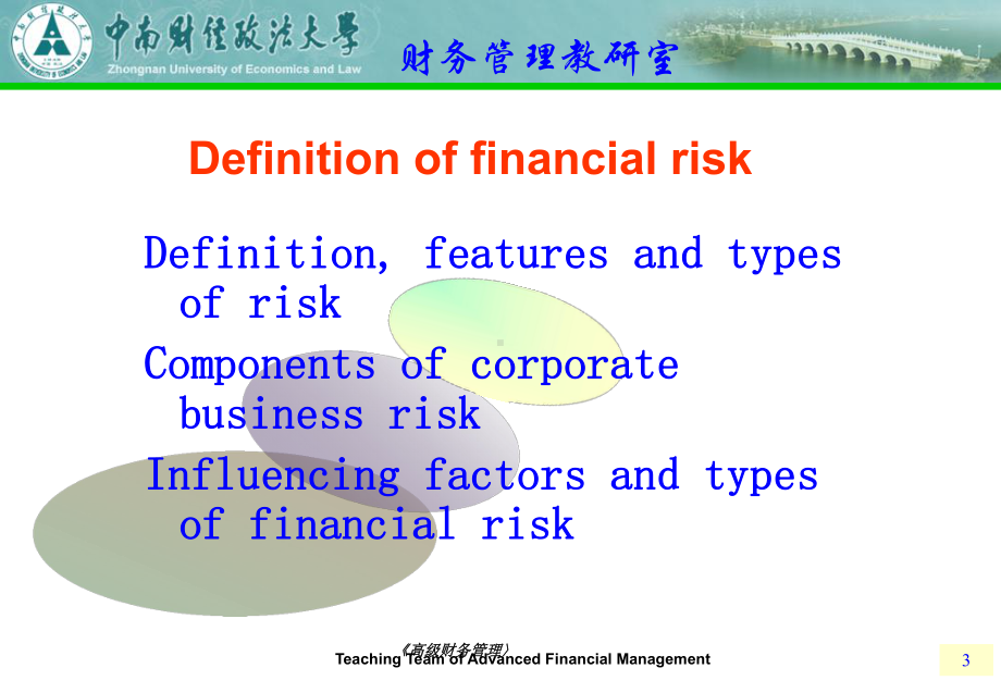 金融风险管理(financial-risk-management)课件.ppt_第3页