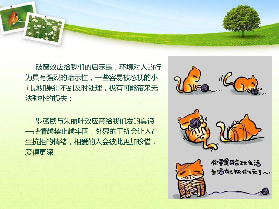 趣味心理学知识讲座做好的成品课件.ppt_第3页