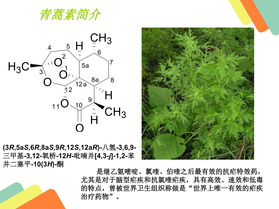 青蒿素类抗疟药课件.ppt_第2页