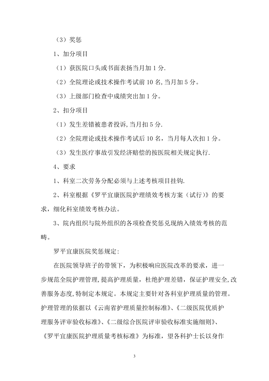 护理绩效考核方案.doc_第3页