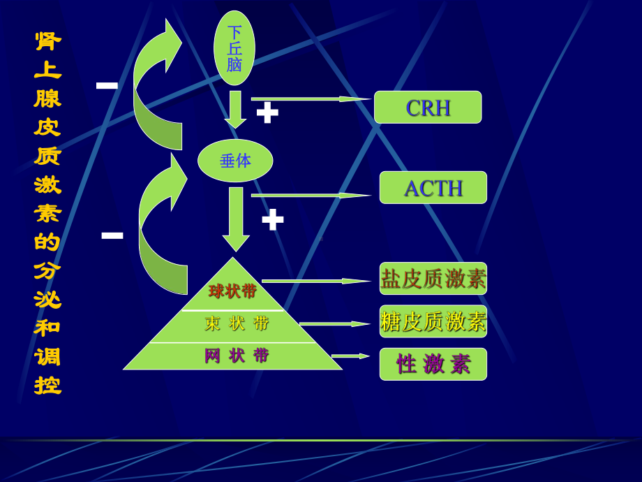 长期应用糖皮质激素治疗患者的麻醉注意事项课件.ppt_第2页