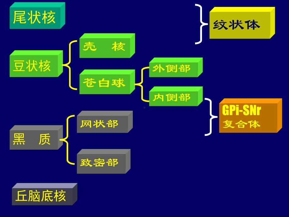 锥体外系疾病病发过程中需要了解的常识课件.ppt_第3页