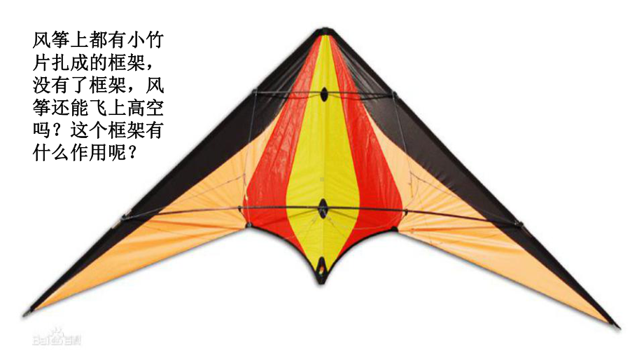 青少年科普知识的讲座之人体骨骼课件.ppt_第3页