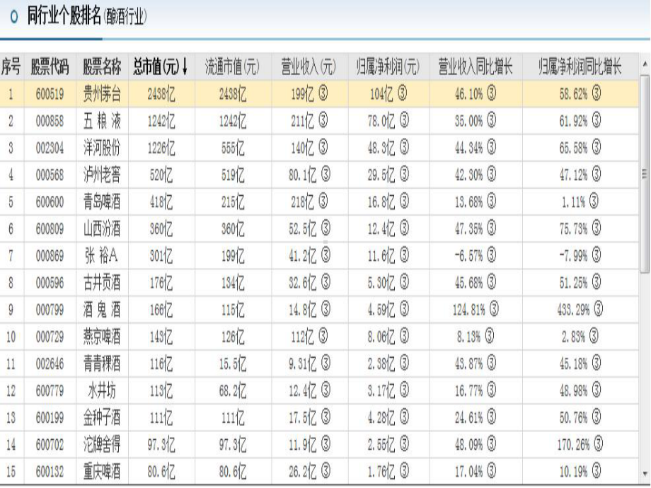 贵州茅台投资分析金融学课件.ppt_第3页