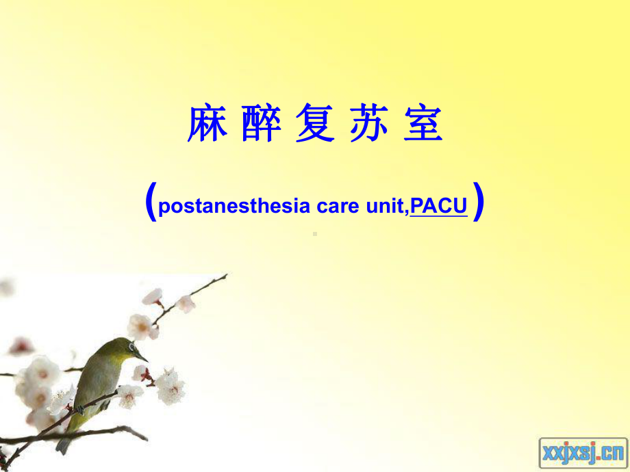 麻醉复苏室ppt课件.ppt_第1页