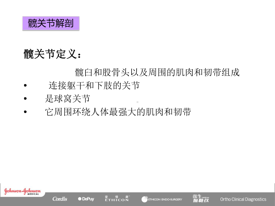 髋关节置换术课件.ppt_第3页