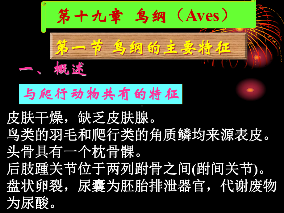 鸟(结构)课件.ppt_第3页