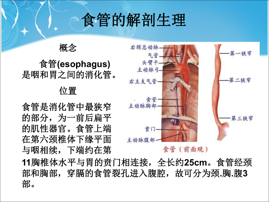 食管癌护理查房课件.ppt_第3页