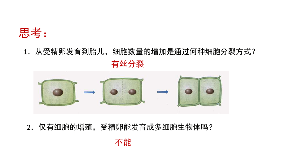 高中生物新教材《细胞的分化》PPT课件.pptx_第3页