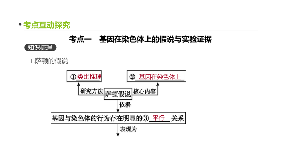 高三生物一轮复习课件：第16讲-伴性遗传和人类遗传病-.pptx_第3页