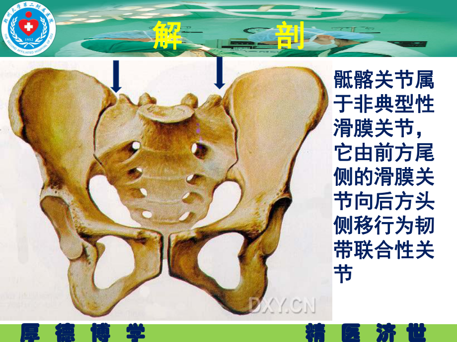 骶髂关节炎课件.ppt_第3页