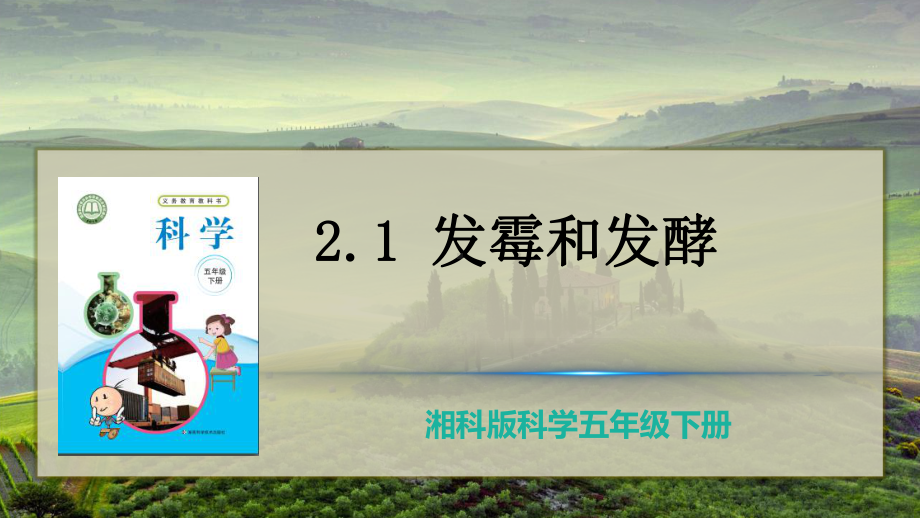 2022新湘科版五年级下册科学2.1 发霉和发酵 ppt课件.pptx_第3页