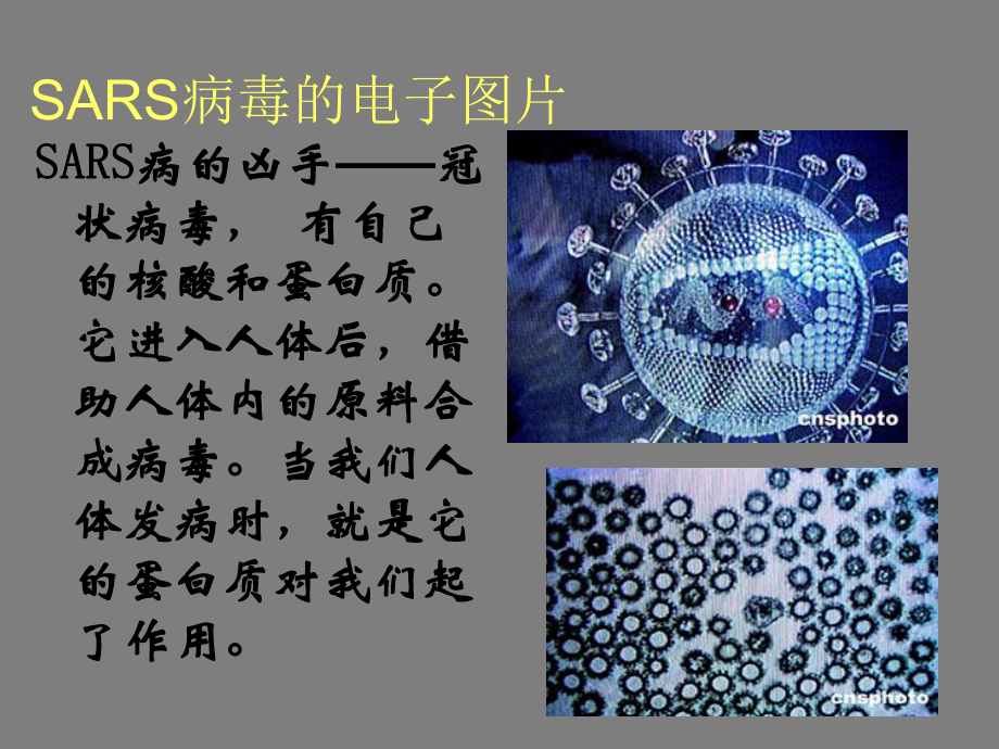 高中化学选修一课件：1.3《生命的基础—蛋白质》.ppt_第2页